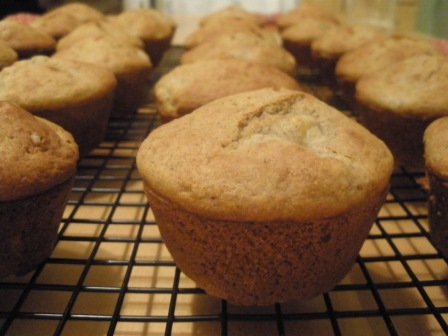 [multigrainapplemuffins4.jpg]