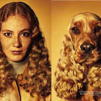 Perros03.jpg