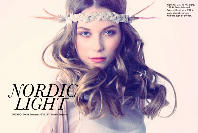 [Nordic-light[4].jpg]