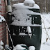 DSC_0306.jpg
