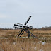 DSC_0787.jpg