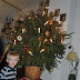 DSC_0848.jpg