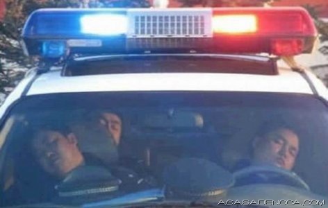 [police_and_fire_15[10].jpg]