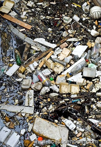[plastic_12[10].jpg]