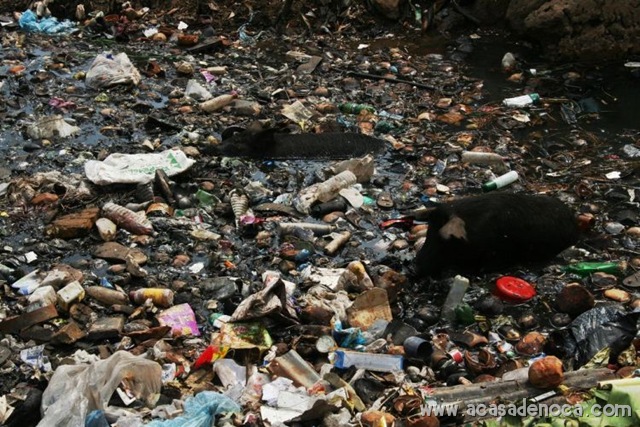 [plastic_14[10].jpg]