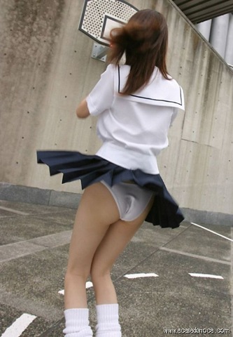 [vip611325[11].jpg]