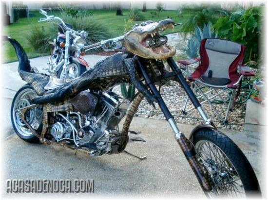 [harley1[4].jpg]