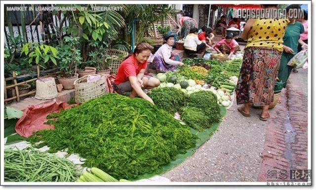 [asian_market_01[4].jpg]