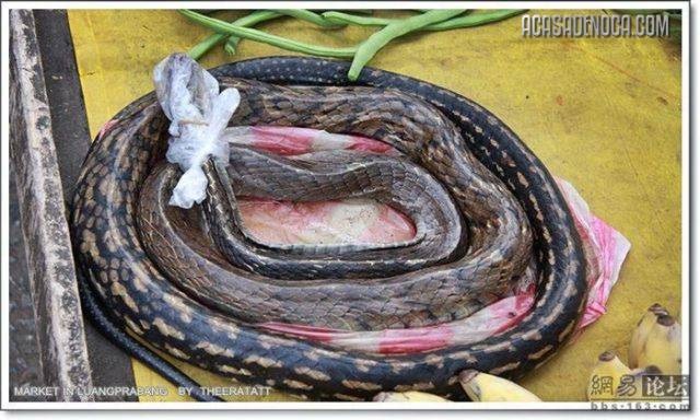 [asian_market_06[8].jpg]