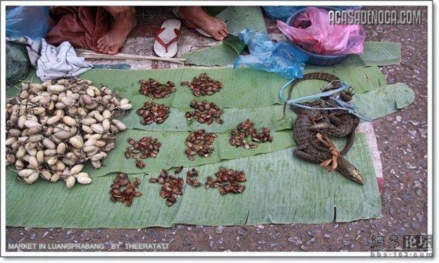 [asian_market_07[8].jpg]