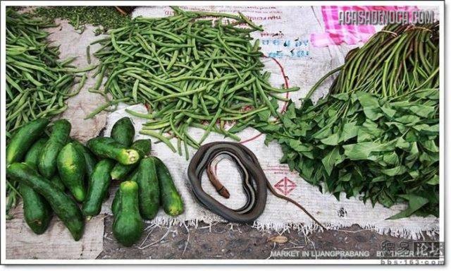 [asian_market_14[8].jpg]