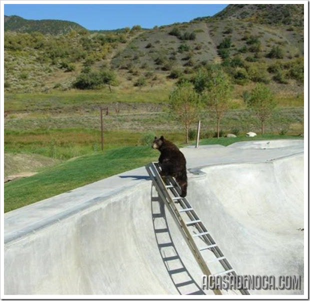 urso4