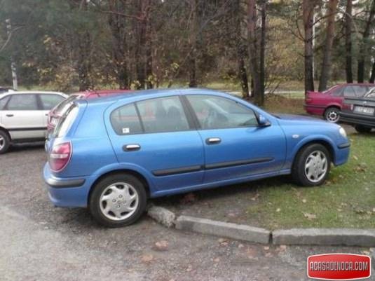 [1252311126_1224948664fotosauletekisalvyddsc00266_1[4].jpg]