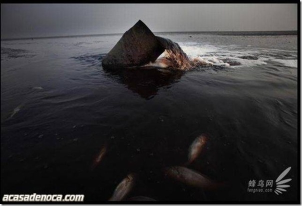 pollution_in_china_08