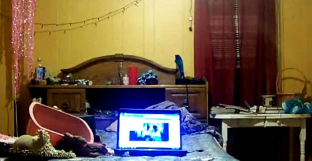 [olha o orkut dela[4].jpg]