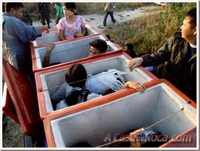 illegal_aliens_12