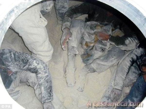 [illegal_aliens_13[3].jpg]