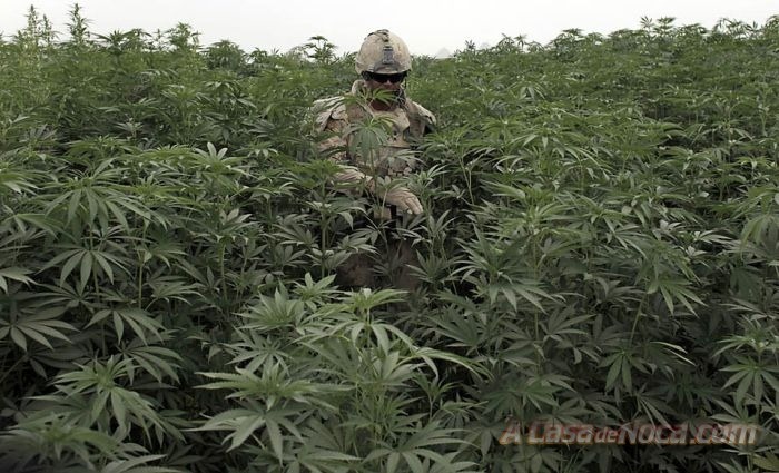 [o paraíso[3].jpg]