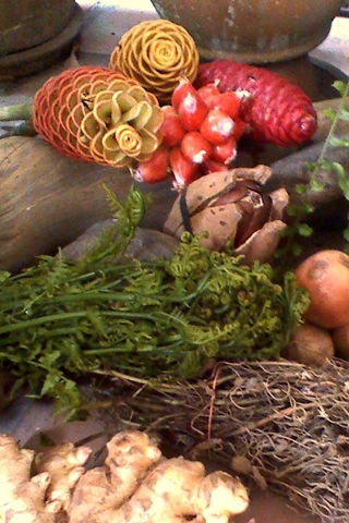 [Jungleproduce02copy9.jpg]