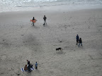Another surf board casualty of Mavericks.