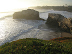 Natural Bridges Park, Santa Cruz.