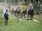 Gary stuck in traffic on his way to work.