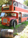 Old bus on Brian's property in Santa Cruz.