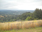 View of Santa Cruz from below UC Santa Cruz.