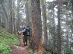 Hiking down through foggy Washington forest.