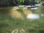 Swimming in the creek.