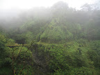 Hiking through the lush Maui hillside.