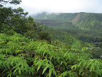 Hiking to some waterfalls off the Hana Highway.