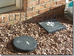 Tomatoes and GardenSTone 008