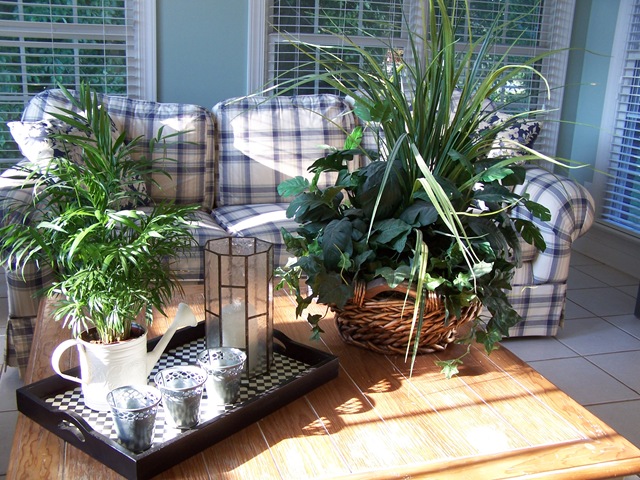 [Sun Room 2 009[2].jpg]