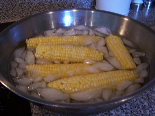 [Corn0236.jpg]