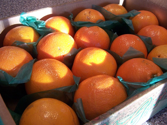 [Honey Bell Oranges 003[4].jpg]