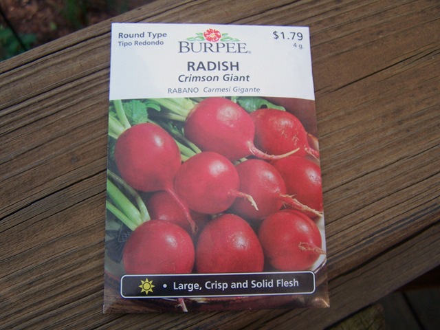 [Radish Seeds 002[6].jpg]