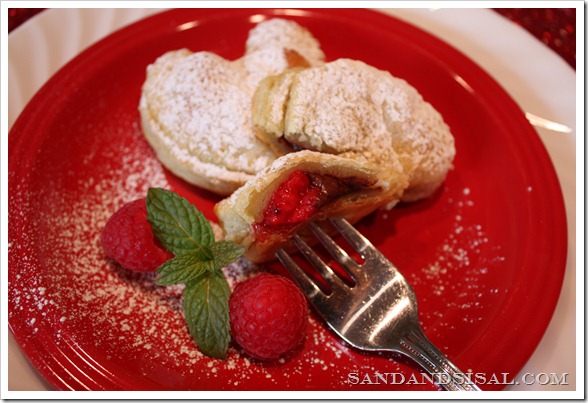 chocolate raspberry bite 2