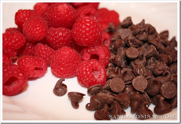 raspberries chocolate