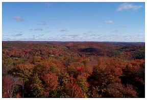 Scenic View of surrounding area