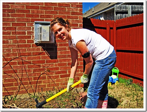 gardening 2010 003