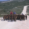 Rota_pastores(06).jpg