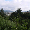 Lafoes_(36).JPG