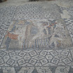 DSC01143.JPG