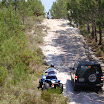 PICT0233.JPG