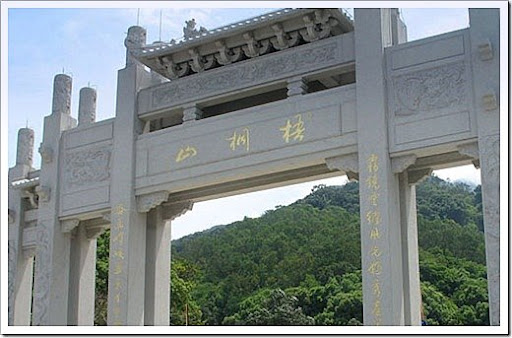 梧桐