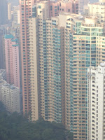 CIMG5173.JPG