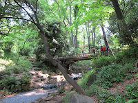 IMG_0813.JPG