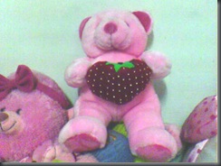 teddy