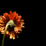 IMG_4175_edited-1.jpg